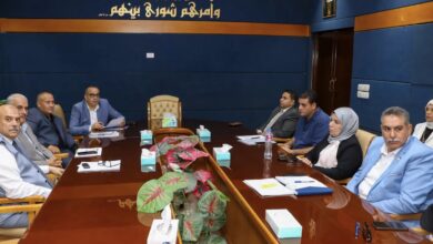 Damietta Port safety review covering emergency response, firefighting and environmental procedures