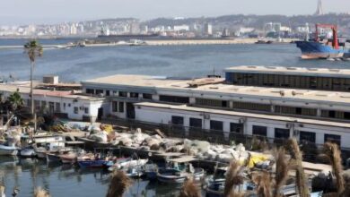 Algerian ports cargo volumes and port operations in 2025