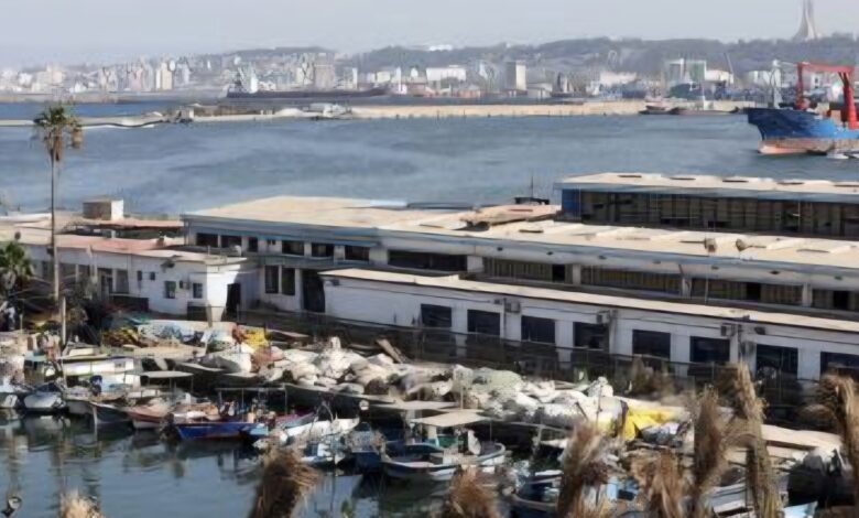 Algerian ports cargo volumes and port operations in 2025