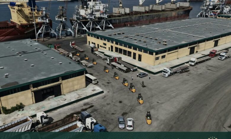 New Latakia Port forklifts delivered to support cargo handling operations