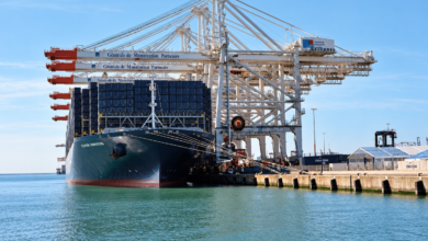 Nador Container Terminal at Morocco's Nador West Med port, where CMA Terminals has acquired a 49% stake.